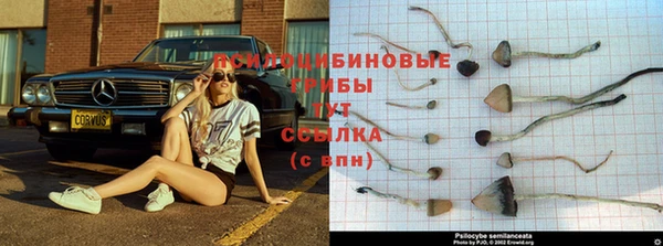 СК Белоозёрский