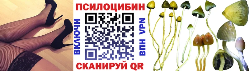 Галлюциногенные грибы Psilocybe  купить   Малая Вишера 